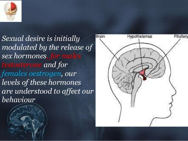 How does sex affect the brain